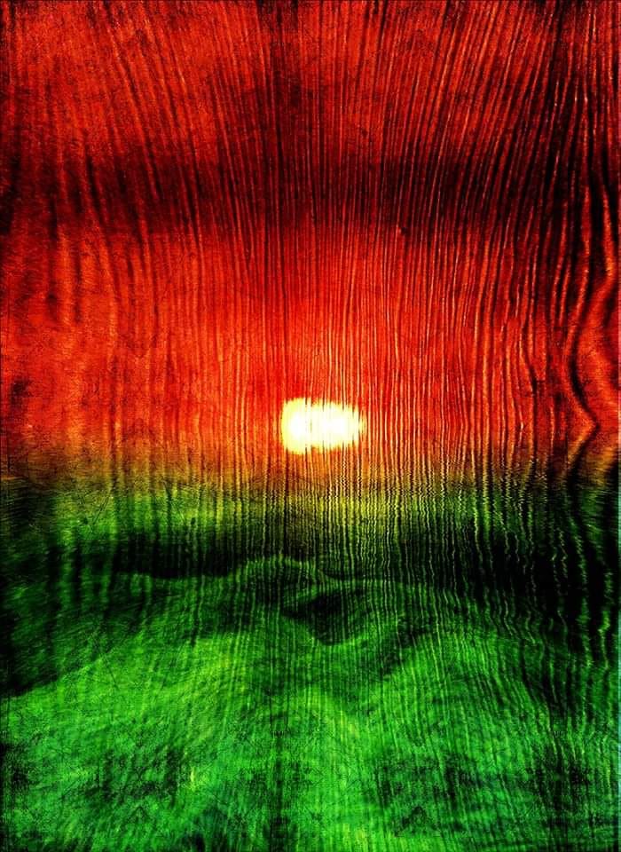 Дорога по світлофору життя