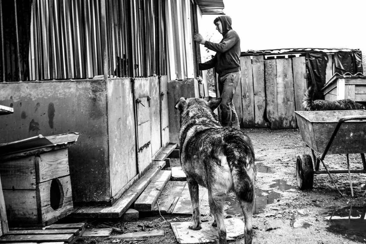 «Вірність»