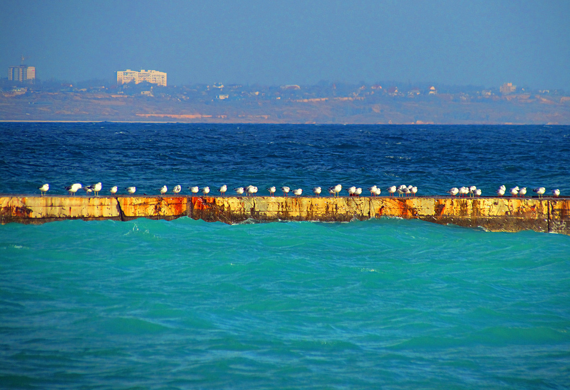 Краски моря