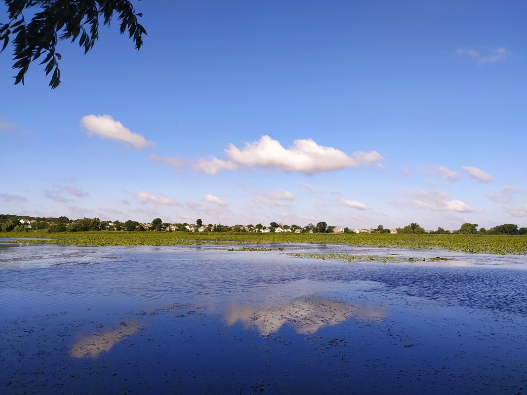 Дві блакиті