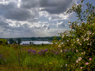 Начало лета