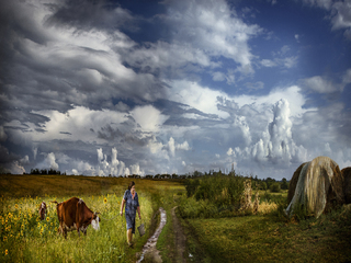 Сельские будни
