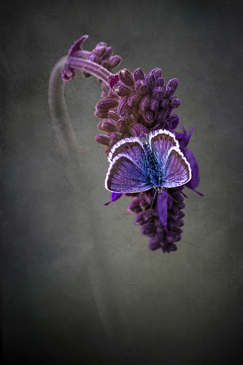 Головокружение