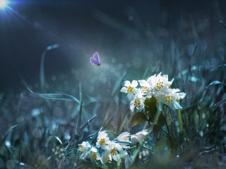 После дождя