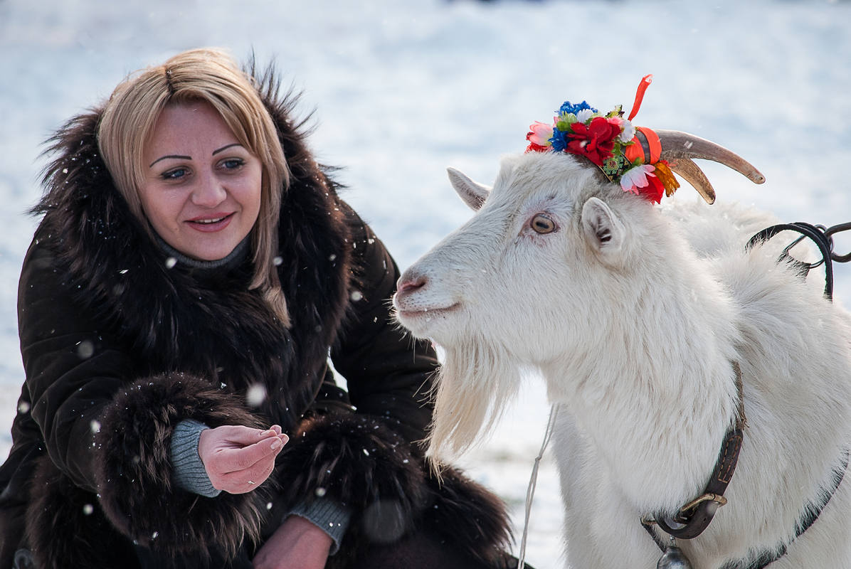 Не ображайся