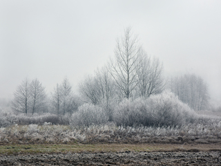 Утро холодное