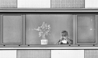 Achter de geraniums in ZwW