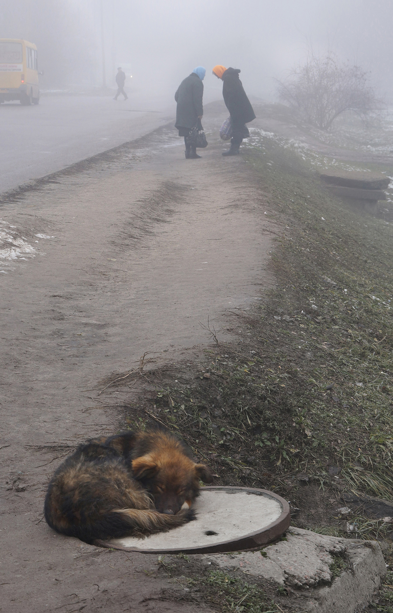 Краплину тепла кожному