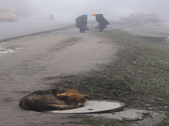 Краплину тепла кожному