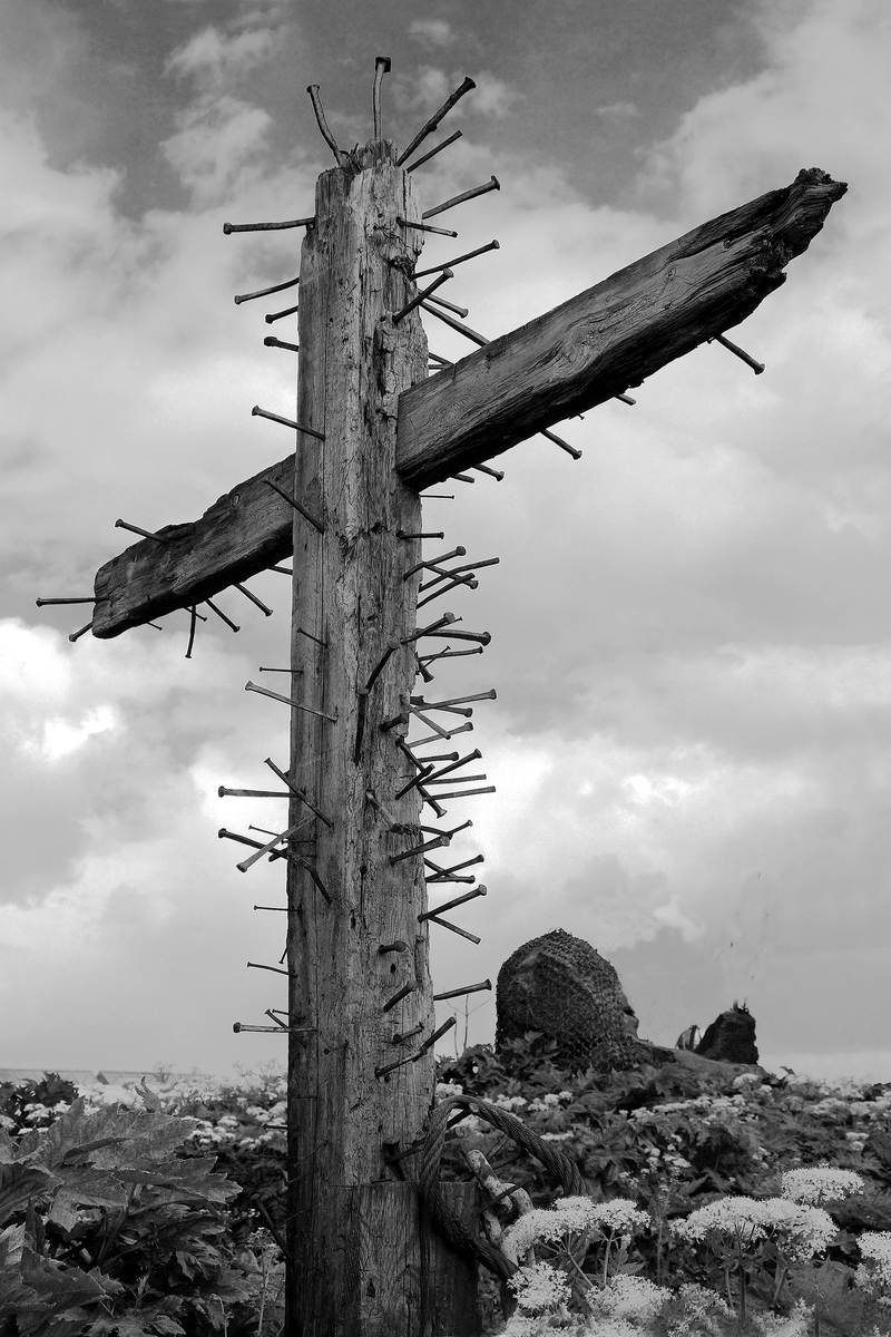 Юрій Лебедєв / Майбутня казка: Жив-був колись коронавірус ...