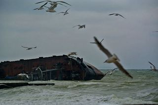 Выброшенный на берег