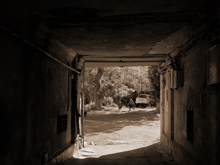 Радость жизни