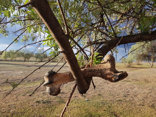 Конец жизни.