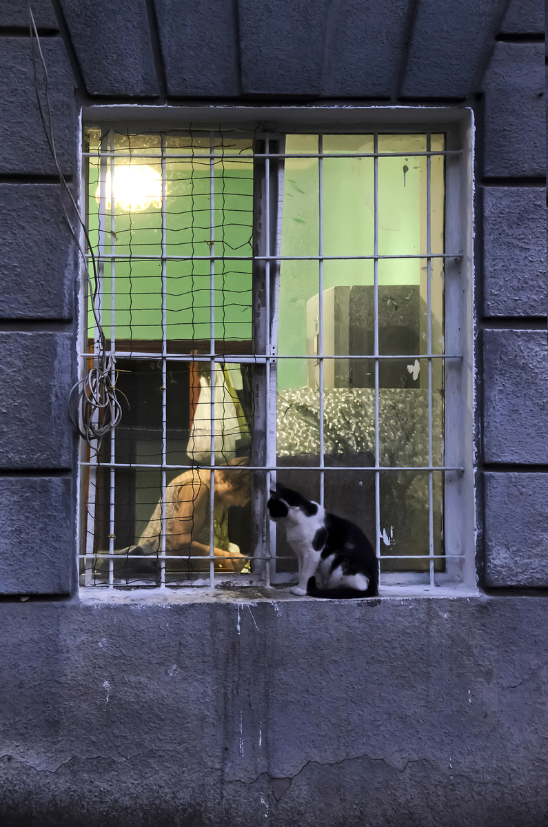 По різні боки