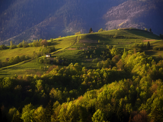 Місце для усамітнення