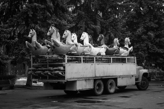 Коні не винні