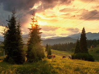 2016 рік. Ворохта