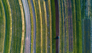 ...line of fields...