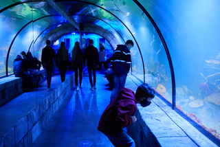 Дотримуючись дистанції