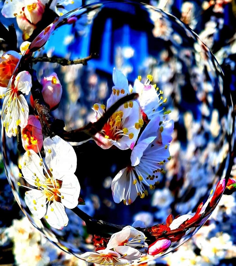 Вдихати миті Простоти 