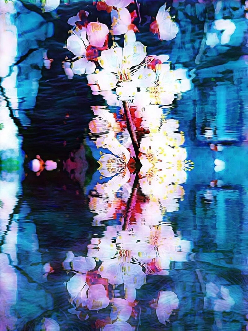 Розчинення 