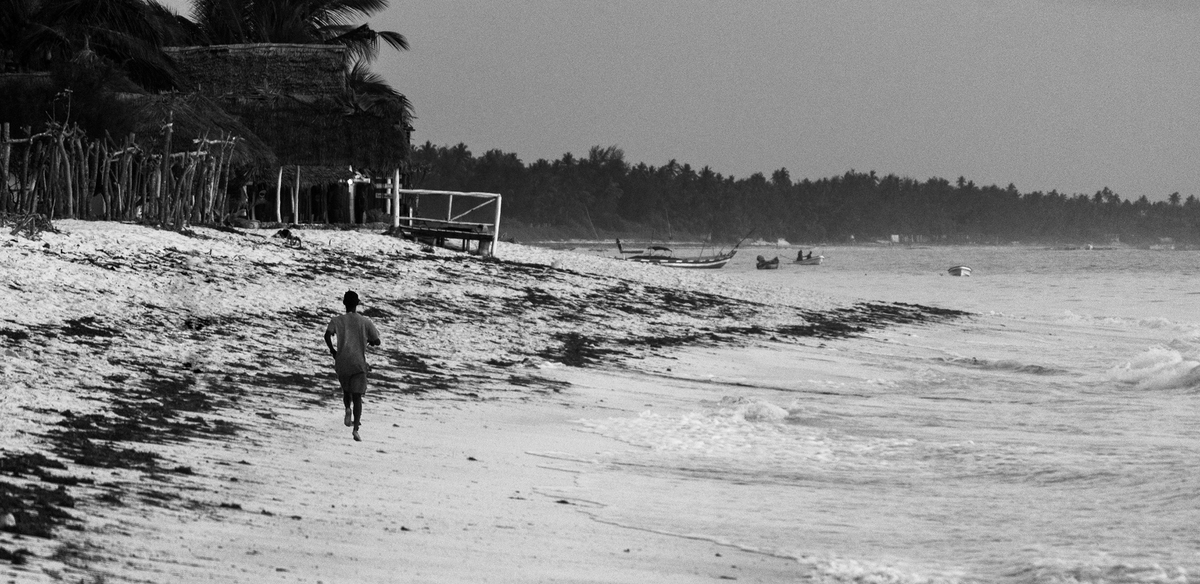 Follow your dreams, they know the way!