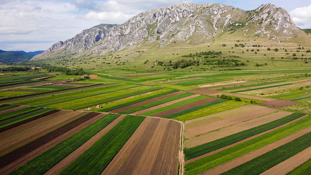 Tomas Andrei / Mountains in Romania