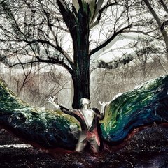 Незворотність.