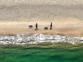 2 people, 2 dogs & 4 shadows