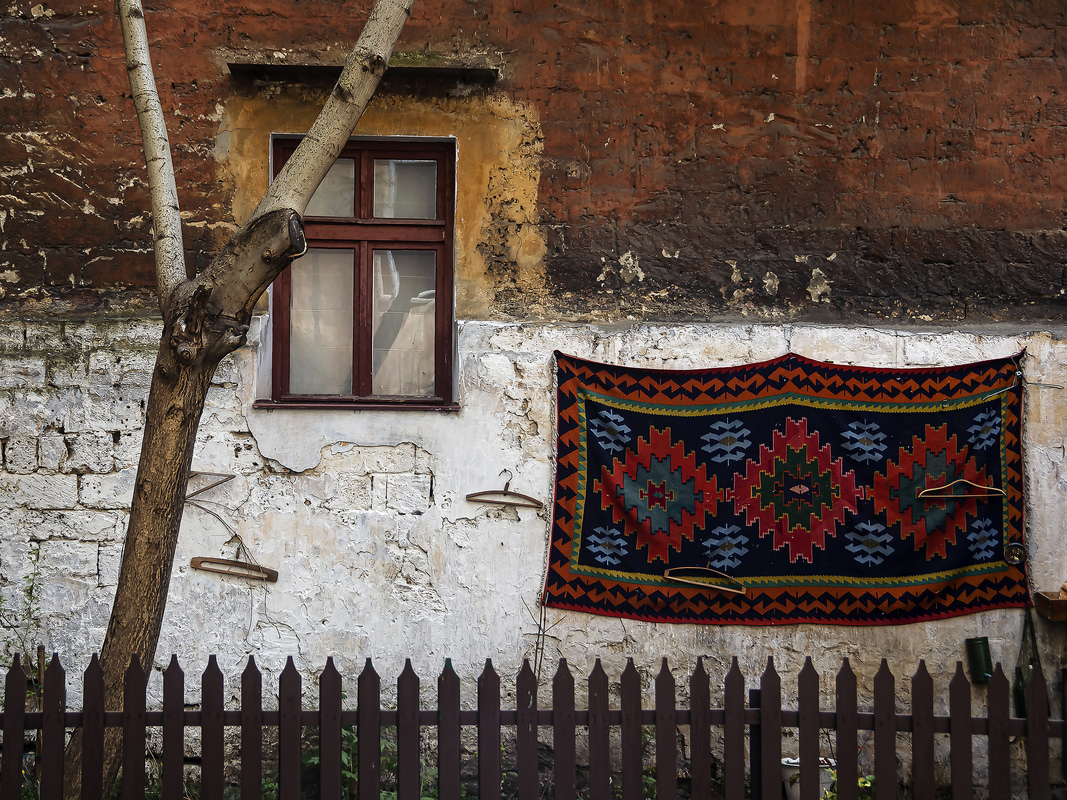 Палісадник