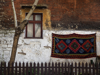 Палісадник