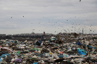 Приміський пейзаж