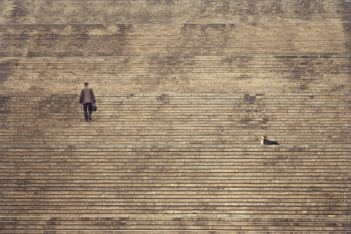 Будні на сходах