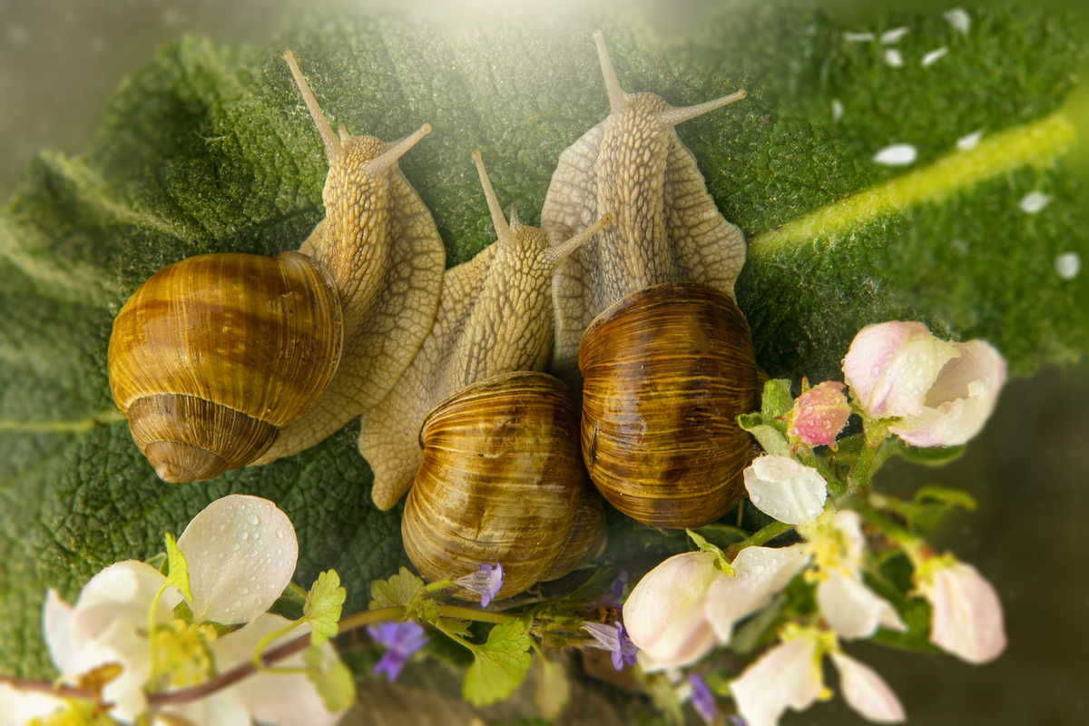 Женская дружба..