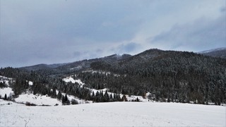 «2020. Україна. Східниця. Вечірні гори...Canon 6D Mark II, 24-70 мм»»