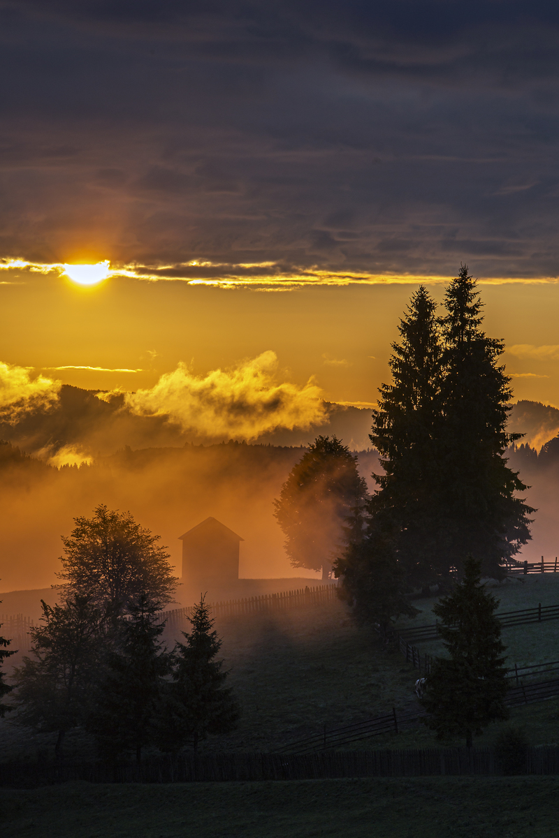 the first rays of the morning