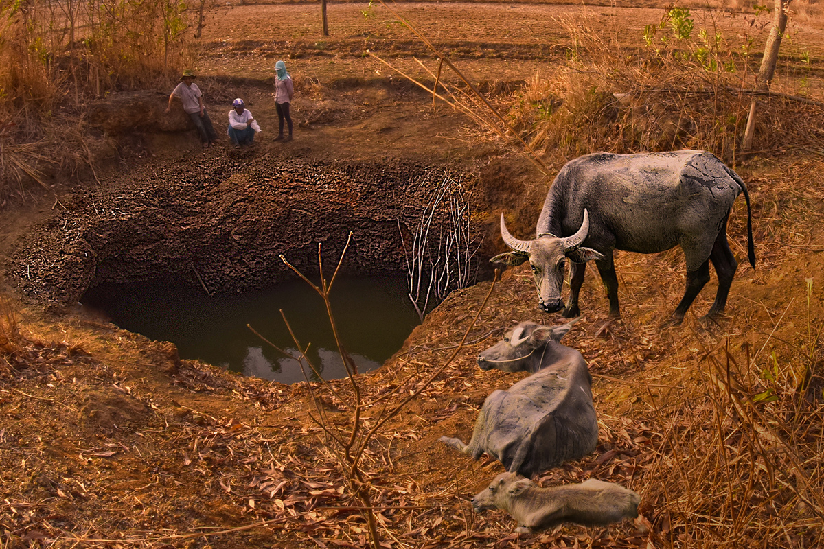 Mùa nắng hạn đồng khô