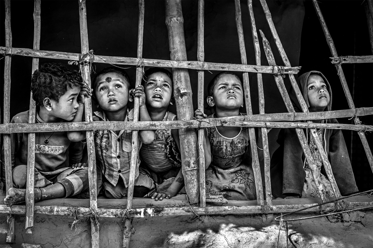 AVISHEK MANNA / Not Following the Flock