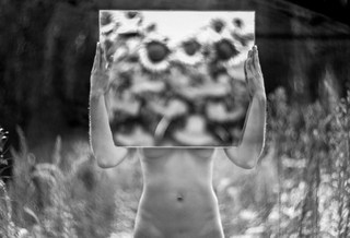 Сліпі соняшники