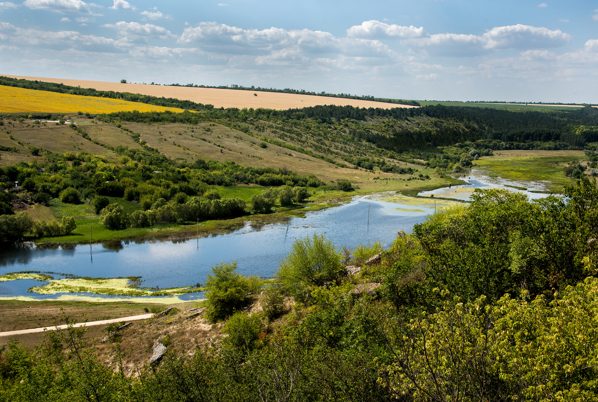 Одещина, рідний край