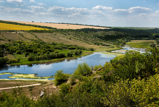 Одещина, рідний край