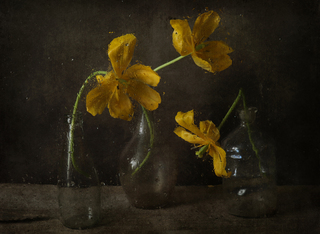 І кожна крапля - це сльоза