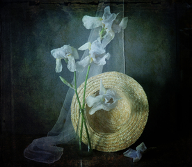 Квіти-птахи