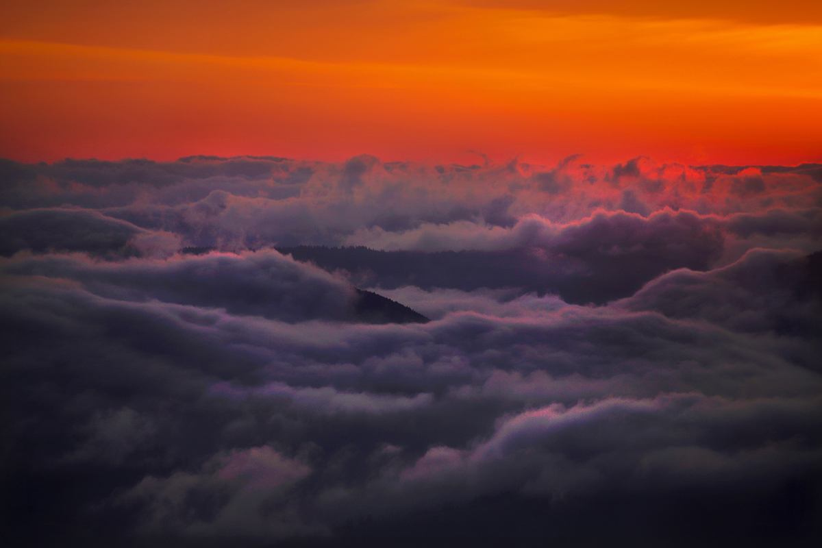 Above the clouds