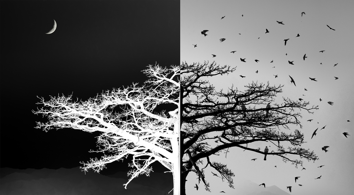 Time flies like a shuttle