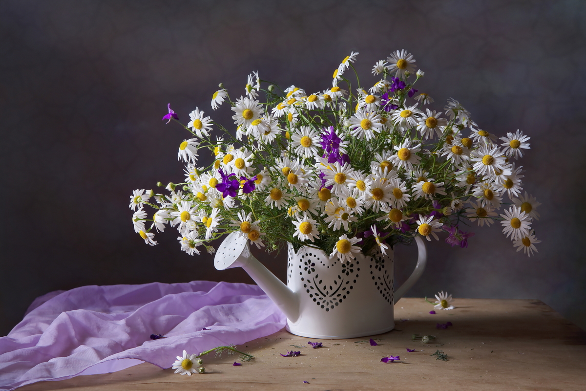 Облако ромашек