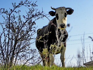А що ти тут фотографуєш?
