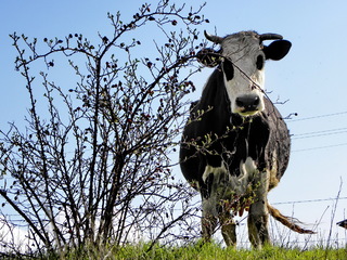 Ти дуже дивна..