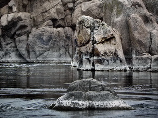 Слоненя на Південному Бузі