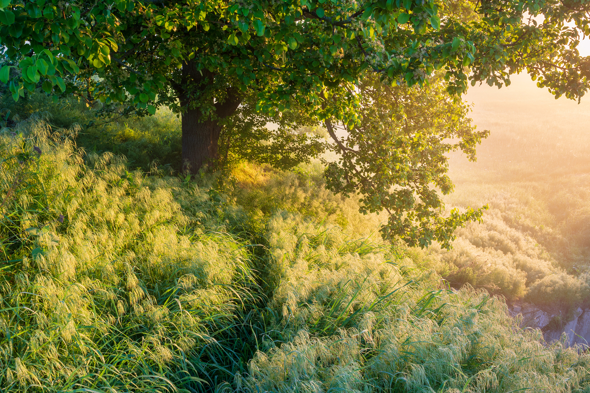 По весняній росі